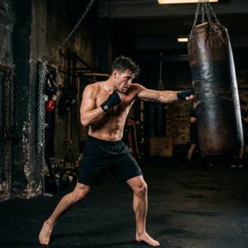 Boxing Bag Gemini.png__PID:ca61d263-adb0-4f1f-9d5c-a6e6fdad1ee2